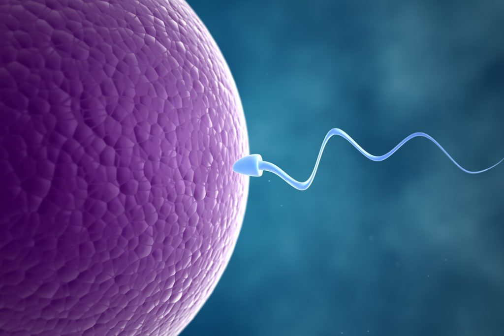 No momento, você está visualizando Quais fatores que mais prejudicam a fertilidade masculina?