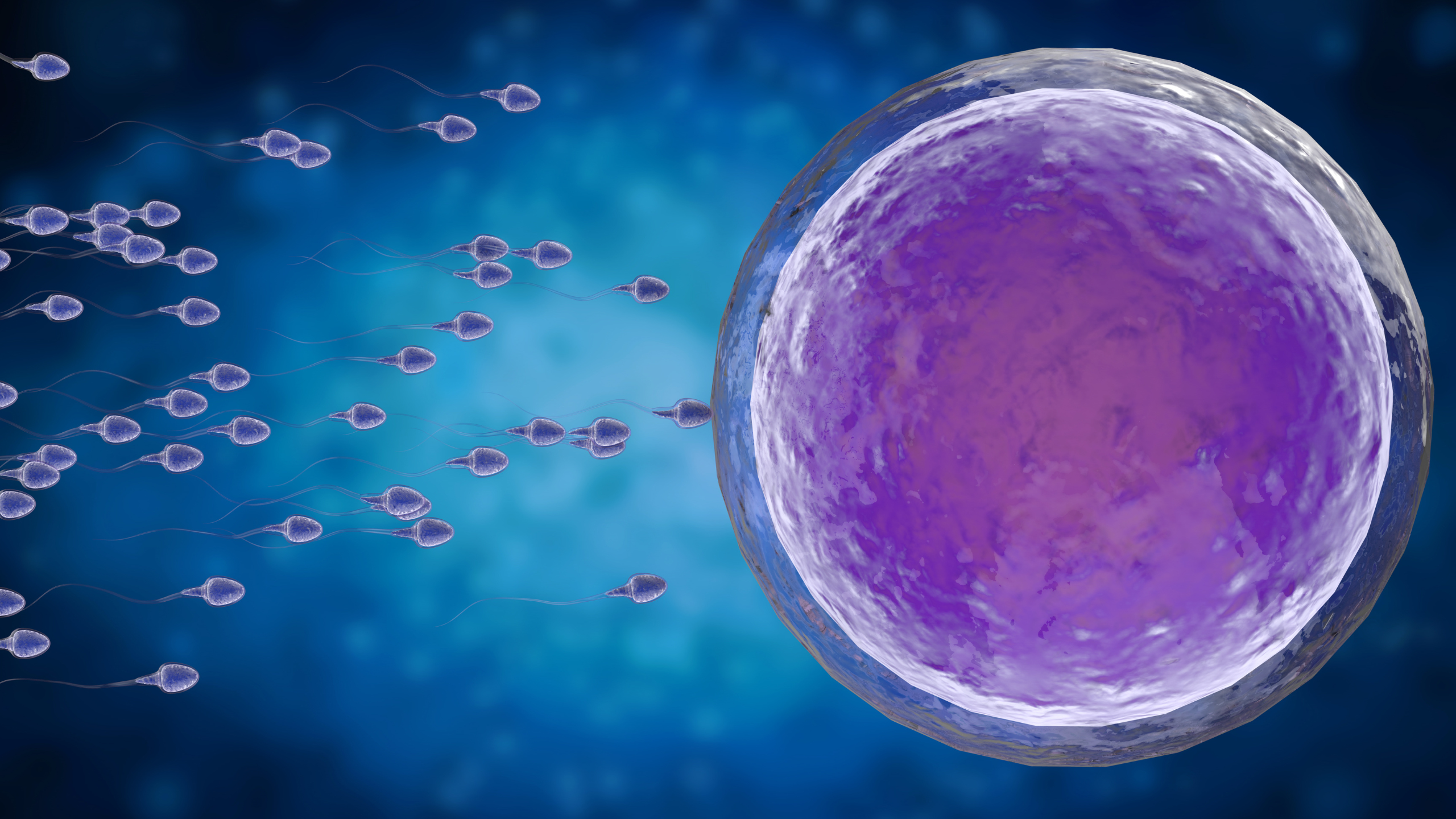 No momento, você está visualizando Congelamento de óvulos: como funciona
