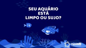 Leia mais sobre o artigo Seu aquário está limpo ou sujo?
