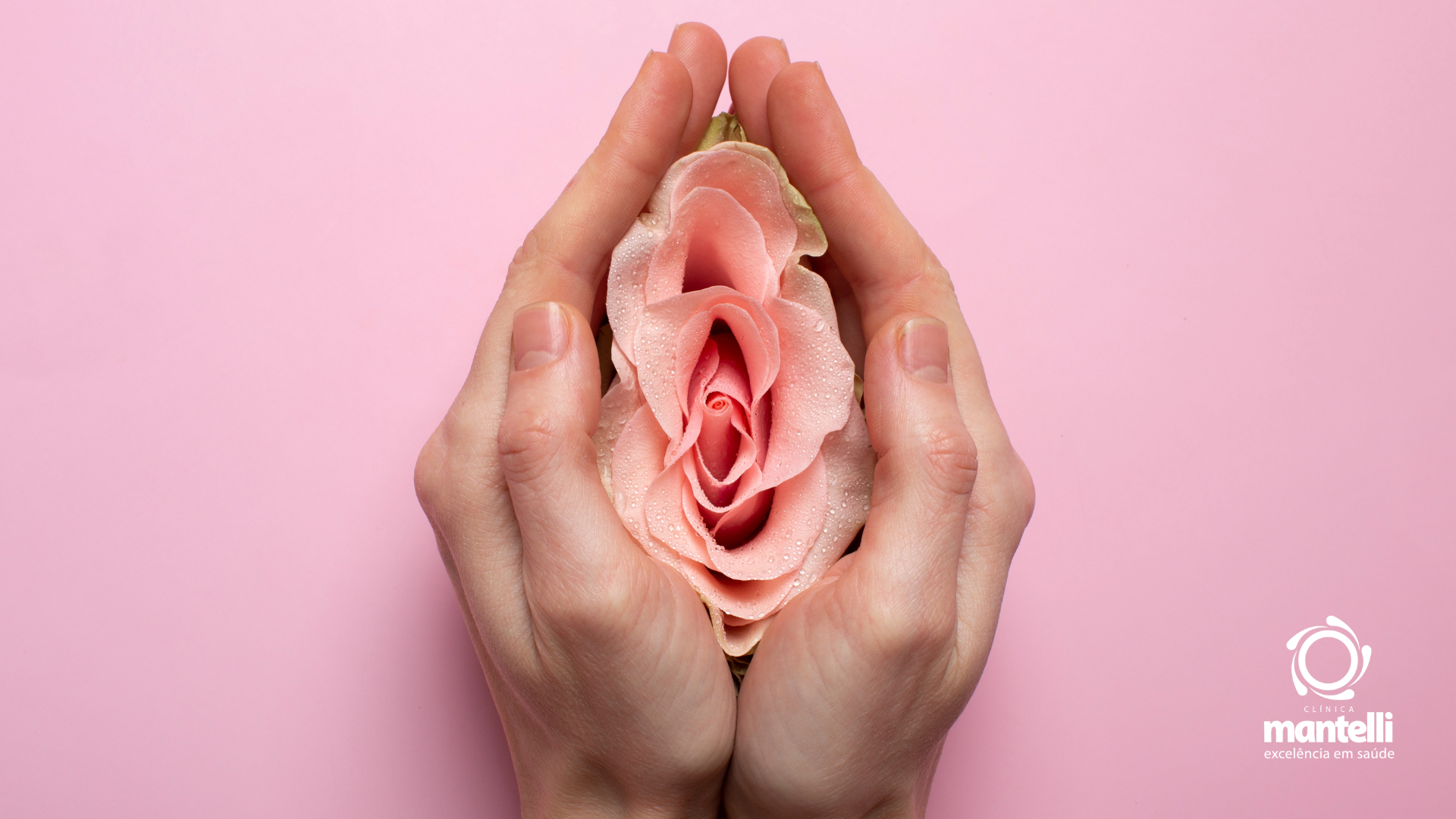 Leia mais sobre o artigo Conheça as mudanças da vagina na menopausa!